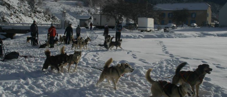 course organisée en chiens de traineau, événement organisé par l'agence événementielle Soleïance